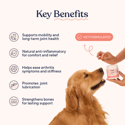 SteadyPaw™ Hip & Joint Support