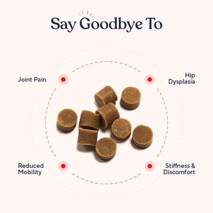 SteadyPaw™ Hip & Joint Support
