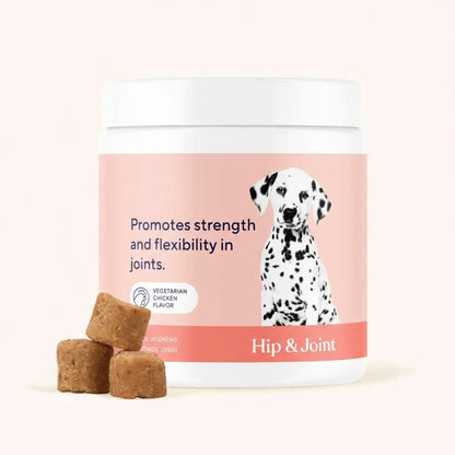 SteadyPaw™ Hip & Joint Support