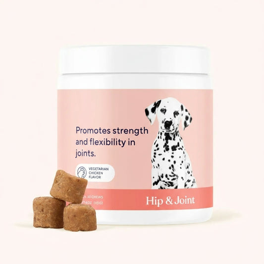 SteadyPaw™ Hip & Joint Support